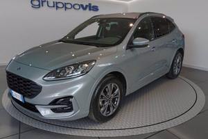 FORD Kuga ecoblue ST-Line X 2wd Automatica