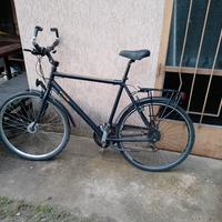 bici trekking uomo taglia XL 