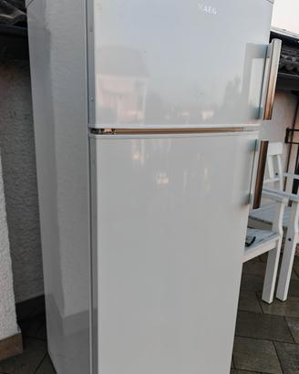frigorifero smeg