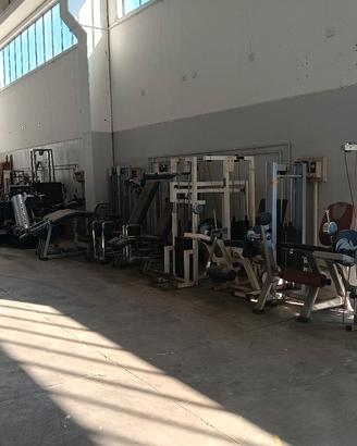 Attrezzi Palestra Gambe Spalle Petto Cardio