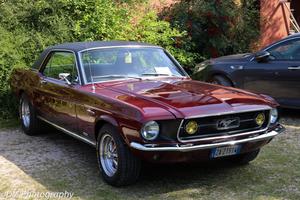 Ford Mustang GTA 1967