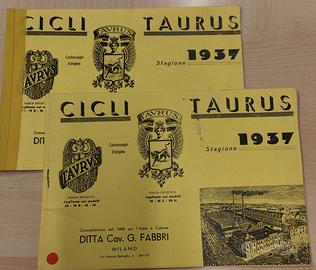 Bicicletta Taurus