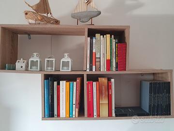 Oltre 70 titoli di raccolta stock libri e librerie