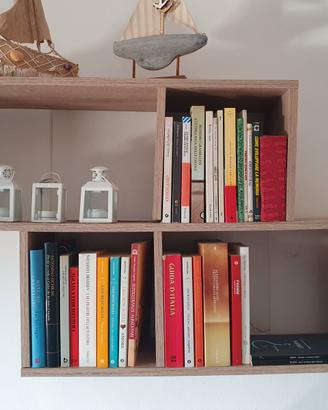 Oltre 70 titoli di raccolta stock libri e librerie