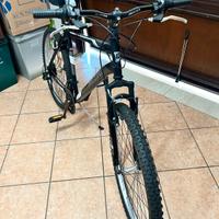 bicicletta da ragazzo 