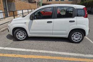 FIAT PANDA EASY 2020