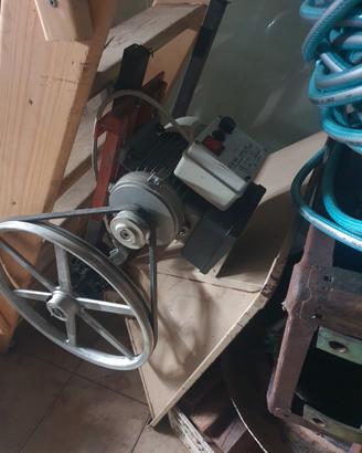 Pigiatrice spremi uva elettrificata