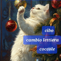 Assistenza a domicilio gatti