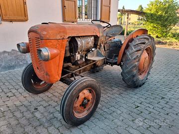 trattore d'epoca same 250
