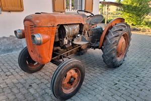trattore d'epoca same 250