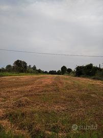 Terreno agricolo 7000 m2 Salzano (VE)