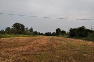 Terreno agricolo 7000 m2 Salzano (VE)