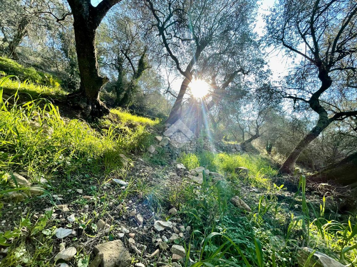 TER. AGRICOLO A SANREMO - Vista 5