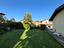 Immagine 25