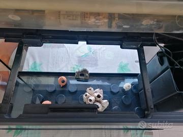 Acquario per pesci