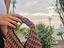 Immagine 3