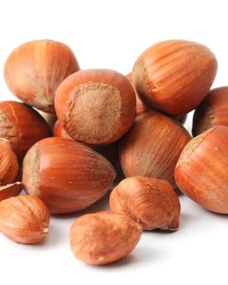 Nocciole di Avellino in guscio selezionate