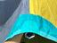 Immagine 5