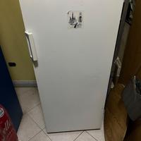 Congelatore iberna (funzionante)