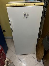 Congelatore iberna (funzionante)