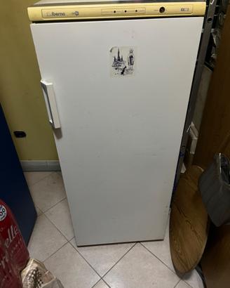 Congelatore iberna (funzionante)