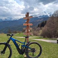 MTB Elettrica GIANT Trance E2+ /NB:  Batteria 800W