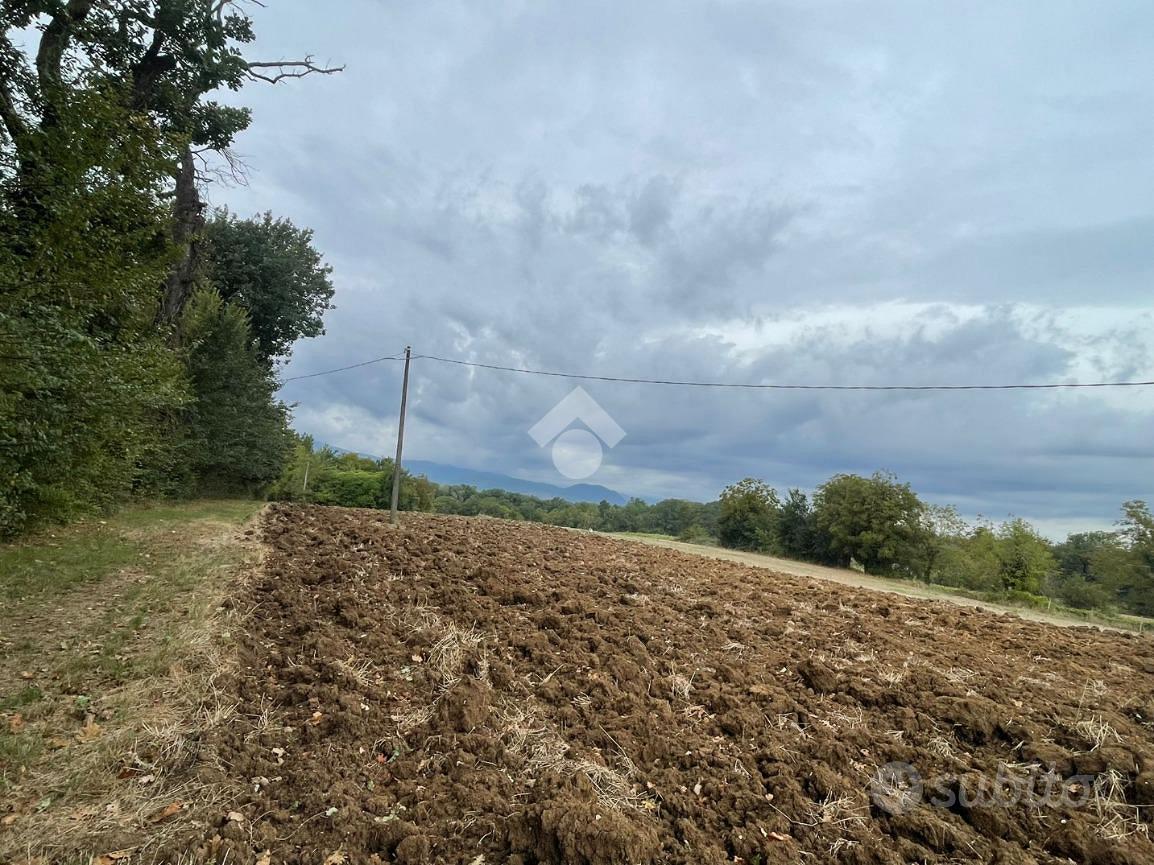 RUSTICO A PIEDIMONTE SAN GERMANO - Vista 3