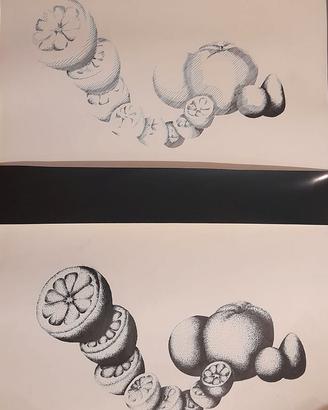 disegno  a china