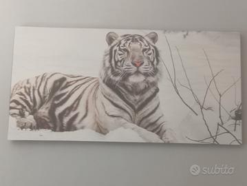 quadro tigre