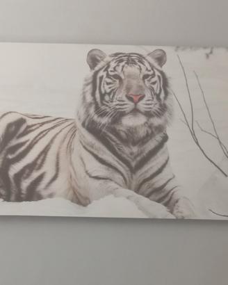 quadro tigre