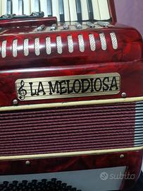 Fisarmonica 48 bassi