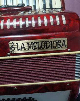 Fisarmonica 48 bassi