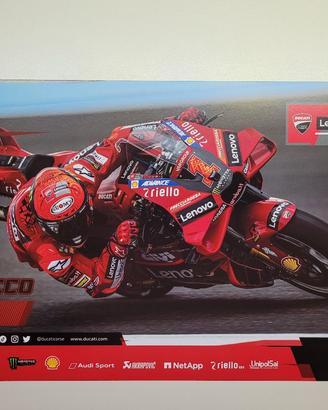 poster Francesco Bagnaia 63 1 ducati 202