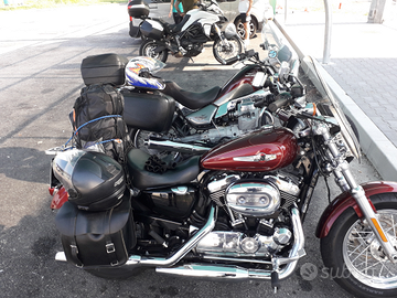 Harley davidson 1200 xl custom 2017
