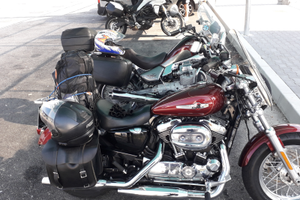 Harley davidson 1200 xl custom 2017