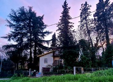 Villa singola, box, veranda, parco - BOLOGNA