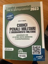 Codice penale militare e ordinamento militare
