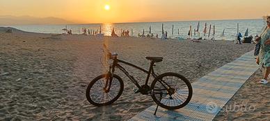 bici mtb professionale