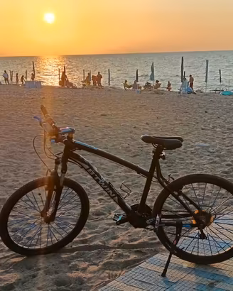 bici mtb professionale