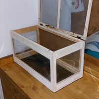 Terrario aracnidi gechi piccoli rettili