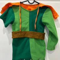 VESTITO PETER PAN CARNEVALE
