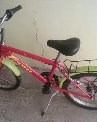 Bici Frera