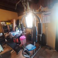palestra MULTIFUNZIONE