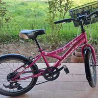 MTB Schiano bambina raggio 20