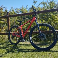 cannondale trail
