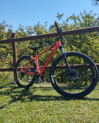 cannondale trail