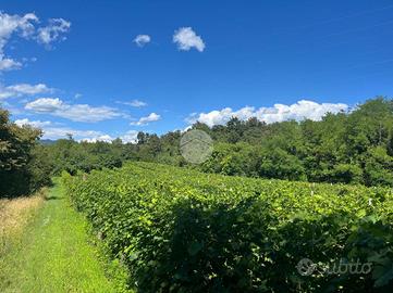 TER. AGRICOLO A CAPRINO VERONESE