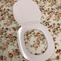 Sedile WC Ideal Standard