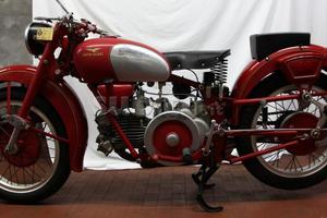 Falcone sport 1961 - 1961