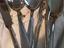 Immagine 5